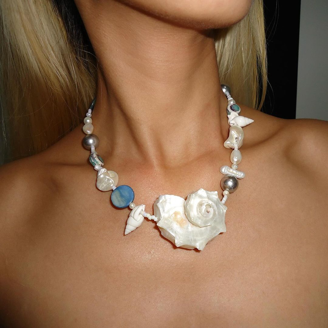 Delphinus shell