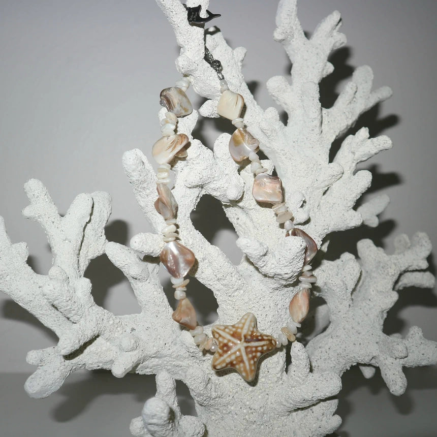 White Starfish